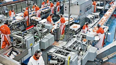 industrial-food-processing-equipment:-revolutionizing-food-production-efficiency